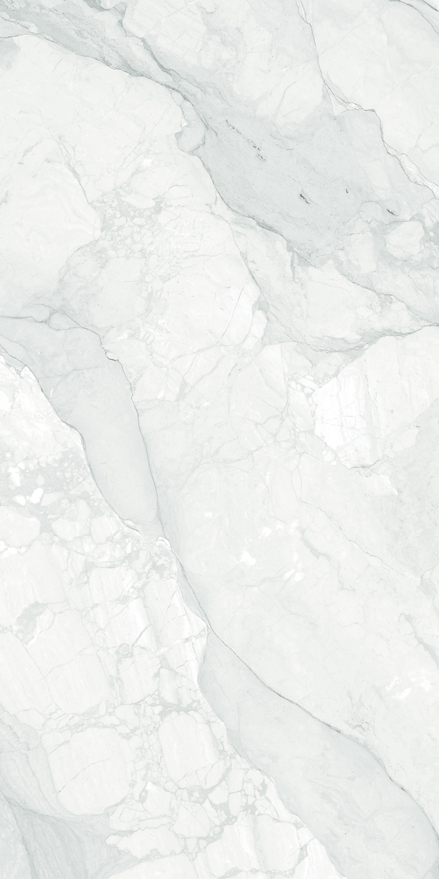 Porcelain Tile 60x120 Rooster white(Glossy)